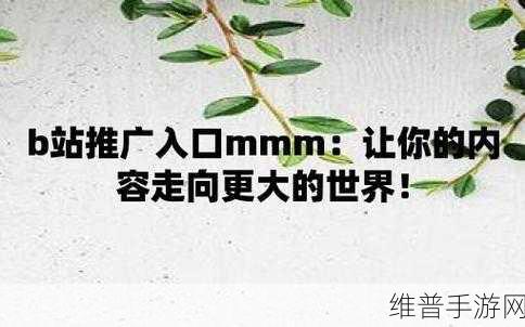 b站推广网站mmm破解版:1. 破解MMM,畅享B站无限精彩内容