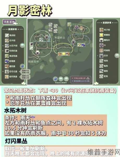 小森生活台服登录疑难全解析