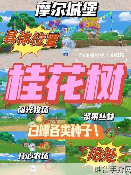 摩尔庄园手游，红豆获取秘籍大公开