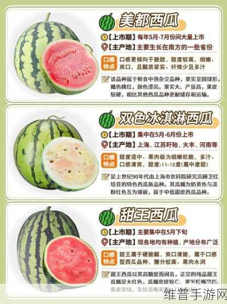 51往期内容-吃最新最火的瓜：1. 最新流行水果：让你一口气吃个够的美味瓜