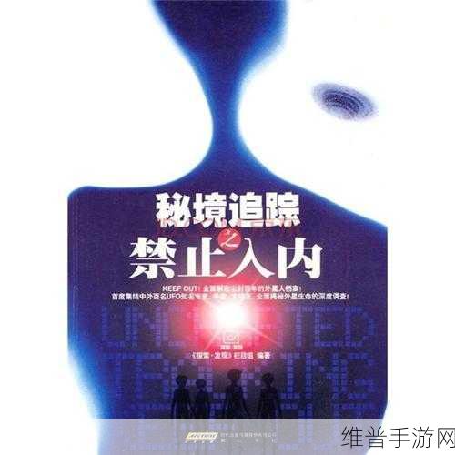 100种禁止入内网站：1. 探索互联网黑暗角落：那些被禁止的网站揭秘