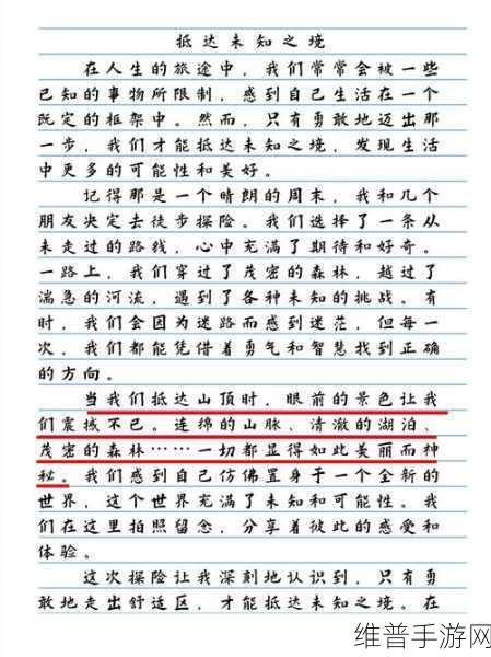 孤岛英雄，探索未知世界的引人入胜冒险之旅