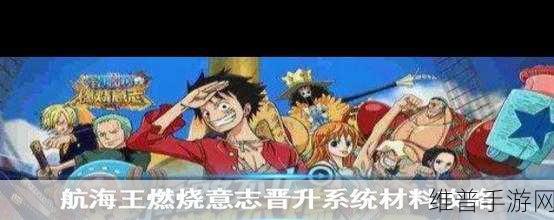 航海王燃烧意志，大航海玩法全攻略指南