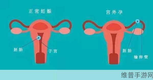 17c操:当然可以,以下是一些基于“17c操”主题的标题建议: