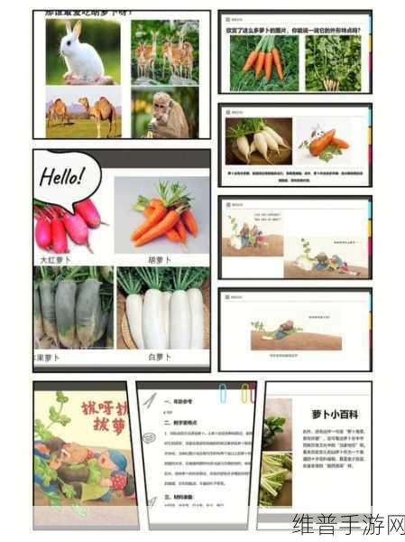 91.拨罗卜：1. 91拨罗卜：探索美味与健康的完美结合