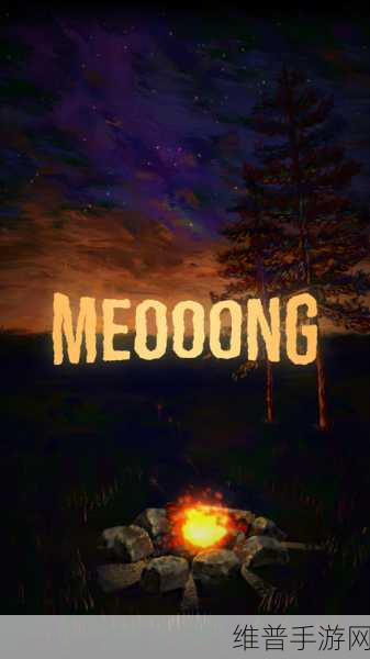 治愈营Meooong,奇趣探险闯关的冒险之旅全攻略