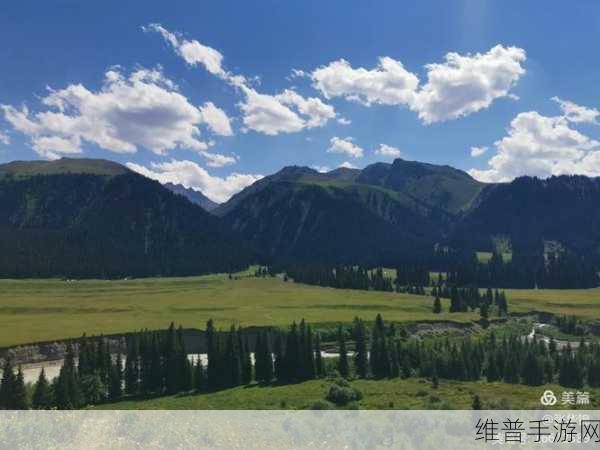 天命奇御，探寻最强武器的神秘之路