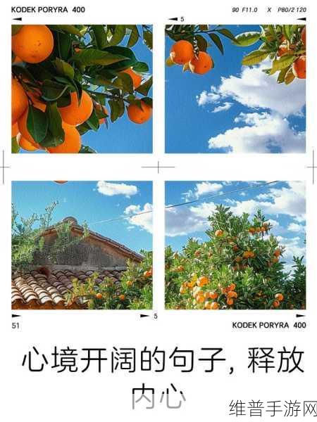 大开大合地动了起来:1. 大开大合:释放内心的无限可能