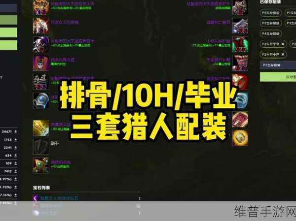 怀旧服生存猎一键宏：怀旧服生存猎一键宏：轻松掌控战场的终极指南