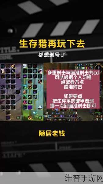 怀旧服生存猎一键宏：怀旧服生存猎一键宏：轻松掌控战场的终极指南