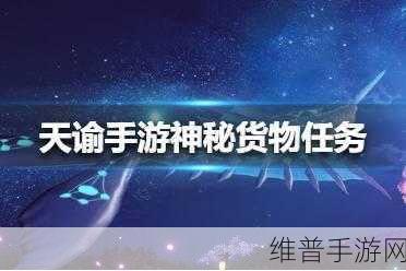 天谕手游神秘货物暗号全揭秘