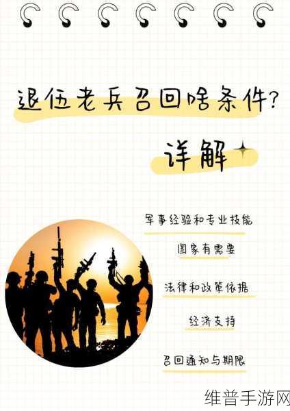 退伍兵被召回：1. 退伍兵重返战场：使命与责任的再一次召唤