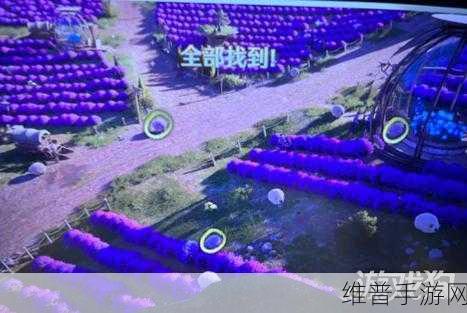 无限暖暖，寻找走丢绵羊的完美攻略秘籍