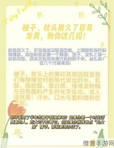 两人不盖被子黄造法：1. 两人共眠：从不盖被子看情感的温度