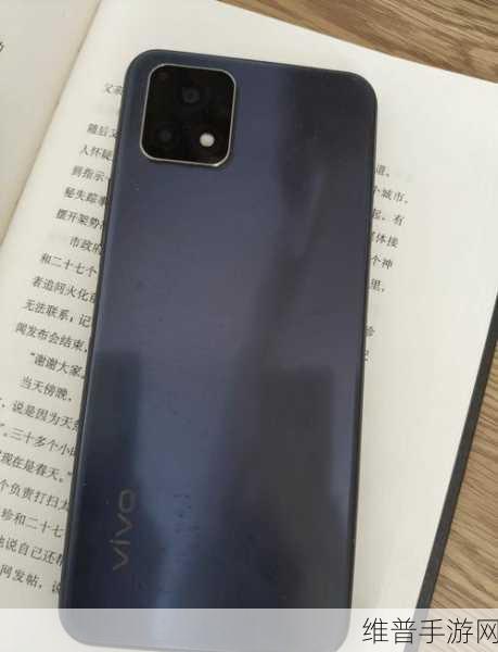一级成色好的y31s标准版免费：1. Y31s标准版：探索一级成色的无限可能