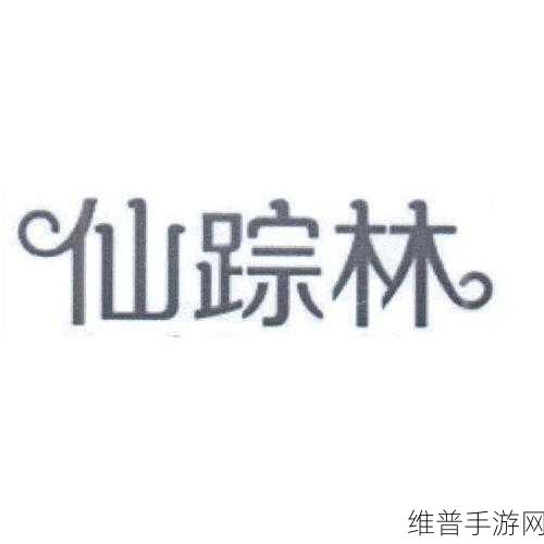 仙踪林 company limited19岁：1. 仙踪林有限公司：十九年辉煌，未来无限可能
