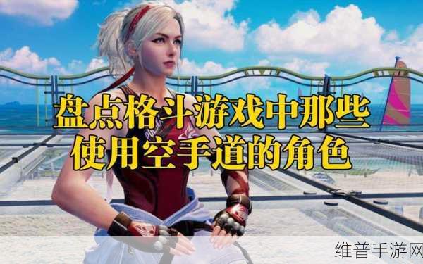 忍者力量,探索空手道格斗游戏的极致乐趣与攻略指南