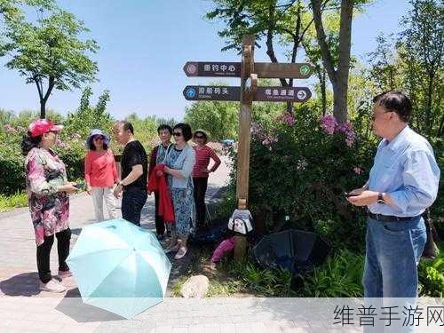 506寝室的灯灭了小莲的作文300字：1. 灯灭后的思考：小莲的成长之路