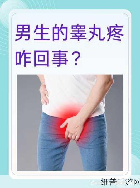 女生吃男生的睾丸是怎么回事：1. ＂探索另类文化：女生为何会选择吃男生的睾丸？