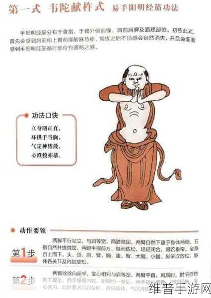 烟雨江湖易筋经修炼秘籍大公开
