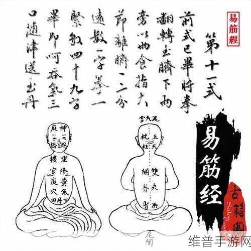 烟雨江湖易筋经修炼秘籍大公开