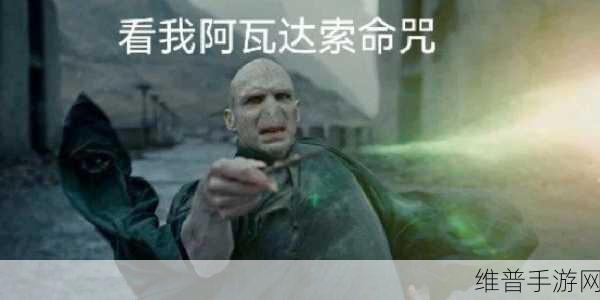 哈利波特手游，阿瓦达索命为何成为三大禁咒