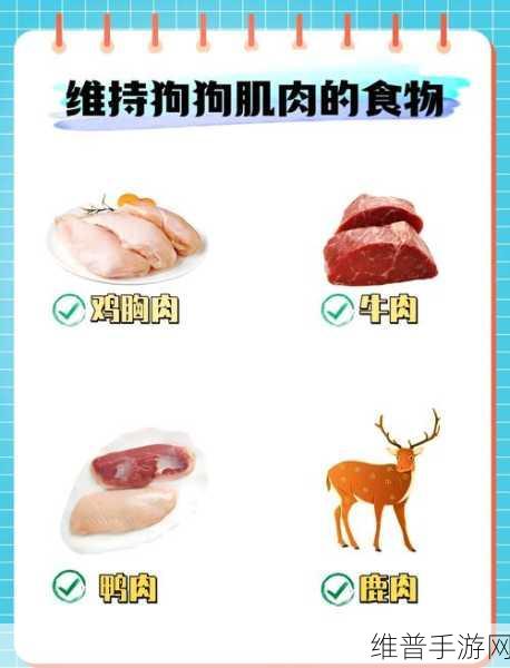 人狗胶配方大全免费天气预报：1. 人狗胶配方大全：养狗必备的健康指南