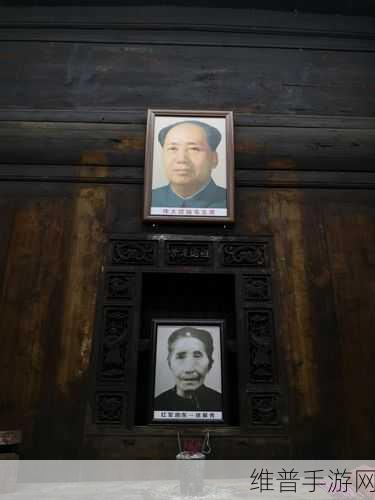 哈乐岛探险记,4岁以上儿童的益智休闲之旅