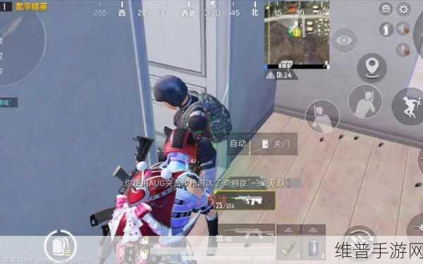 和平精英辅助准星神器,FPS手游爱好者的必备利器