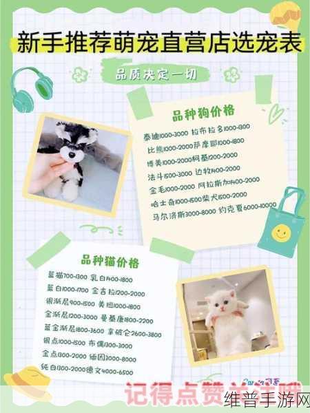 小美的宠物店,萌宠领养之旅游戏全攻略