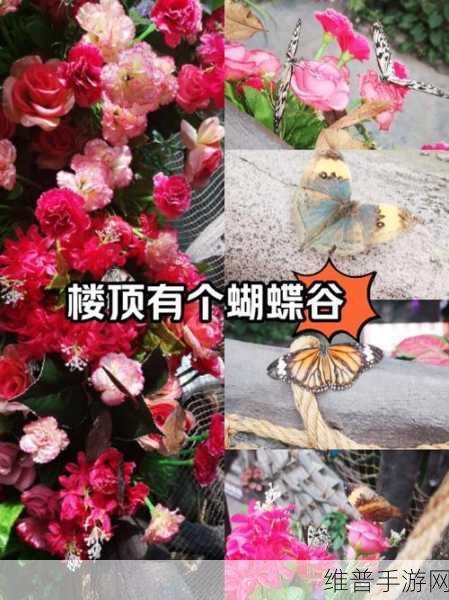 蝴蝶传媒影视：当然可以！以下是一些基于蝴蝶传媒影视主题的标题创意：