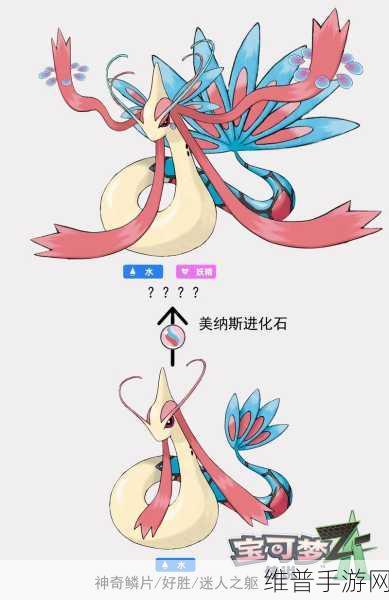 美纳斯配招：1. 美纳斯配招：打造完美战斗组合的秘诀