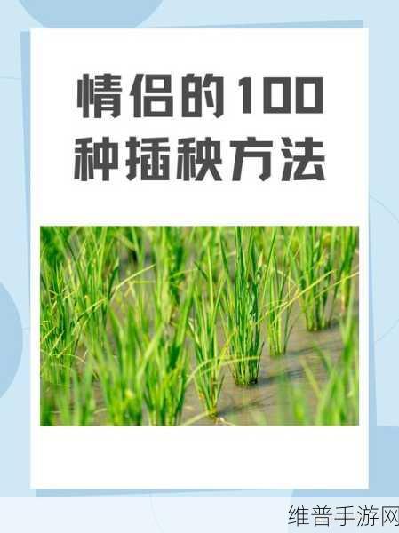 夫妻之间三十中插秧方法：1. 夫妻协作：三十种插秧方法的实践与探讨