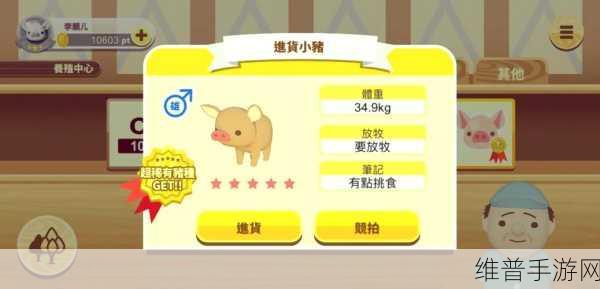 探索养猪乐趣，尽在我是养猪王APP下载——简单有趣的放置类趣味养猪小游戏全攻略