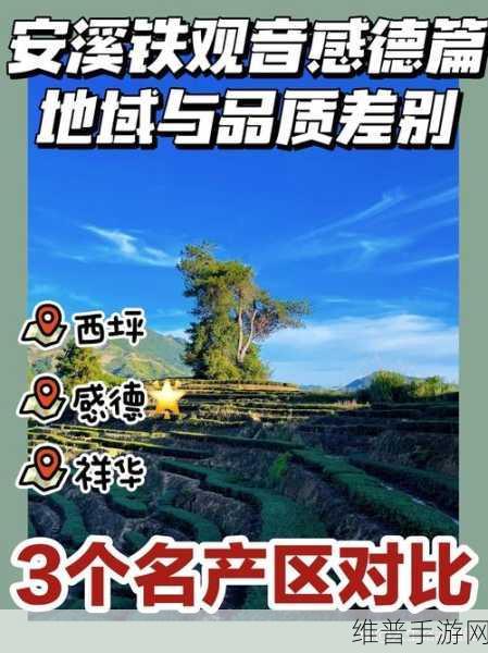 91精产国品产区区别在线观看：1. 深入解析91精产国品的地域特色与品质差异