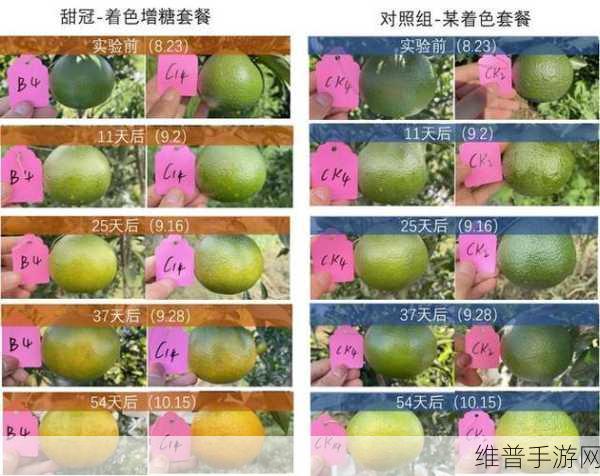 91精产国品产区区别在线观看：1. 深入解析91精产国品的地域特色与品质差异
