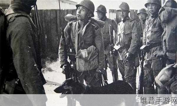 僵尸世界木筏生存,一场惊心动魄的生存冒险之旅