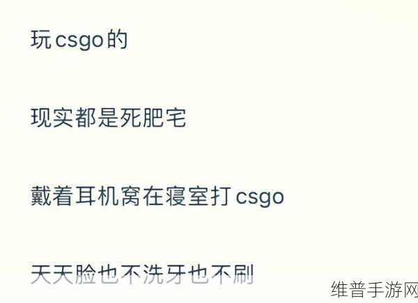 暴躁老阿姨csgo最新消息：1. ＂暴躁老阿姨重返CS：GO，携新战术震撼全场！