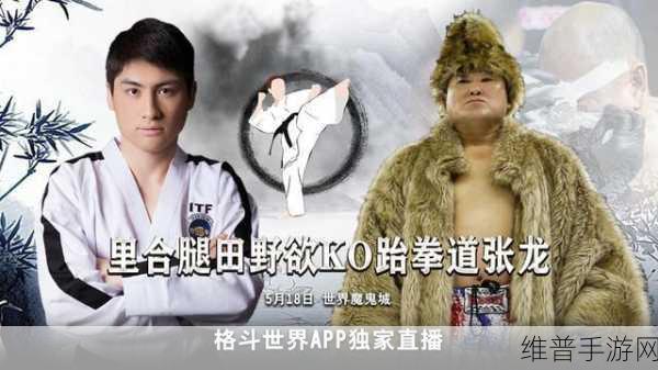 空闲之神合并大师，展现格斗水平的休闲新选择