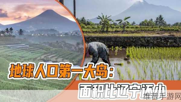 火影耐力测试：1. 火影忍者耐力挑战：极限考验你的意志