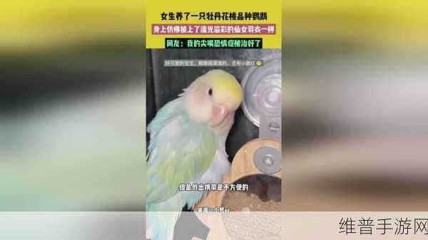 两个人在床上生猴子不盖被子怎么办：1. 如何处理床上两人“生猴子”的尴尬局面？