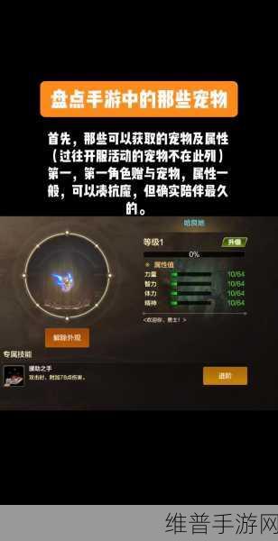 DNF 手游，至尊宠物大揭秘，你选对了吗？