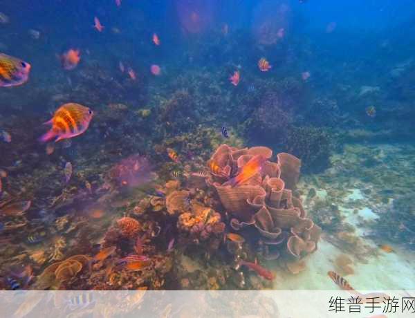 珊瑚海洋之树，探索趣味无穷的休闲益智之旅
