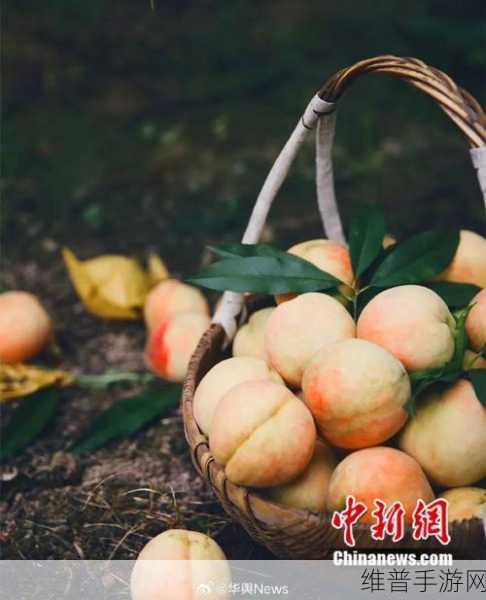 久久99精品久久久水蜜桃的特点：1. 水蜜桃的甜美诱惑，尽享舌尖上的幸福