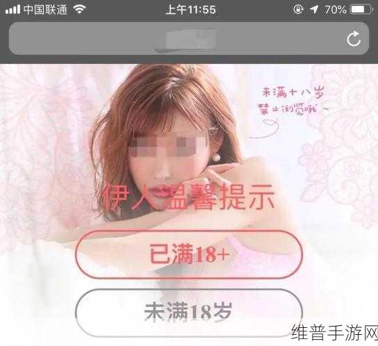 不良网站进入窗口:1. 不良网站潜藏风险:如何保护你的网络安全