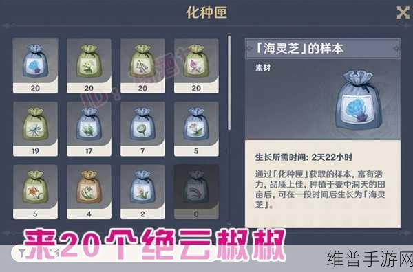 原神，全面解析化种匣的神奇用法