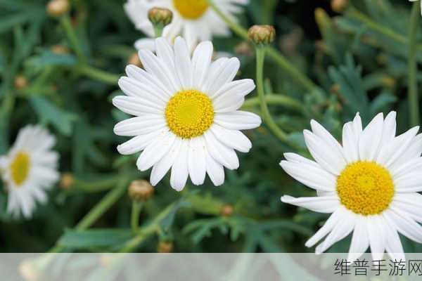 错一道题阴里插一支笔：1. 错误解题的启示：从失误中学习的新方法