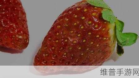 草莓视频你懂的：1. 草莓视频：探索无尽精彩的视听世界