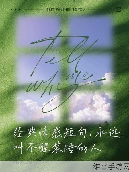岳装睡让我弄进去了：1. 岳装睡的秘密：我如何成功进入她的梦境