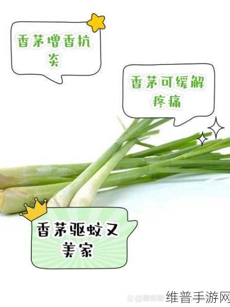 创造与魔法，香茅与柠檬的神秘获取指南